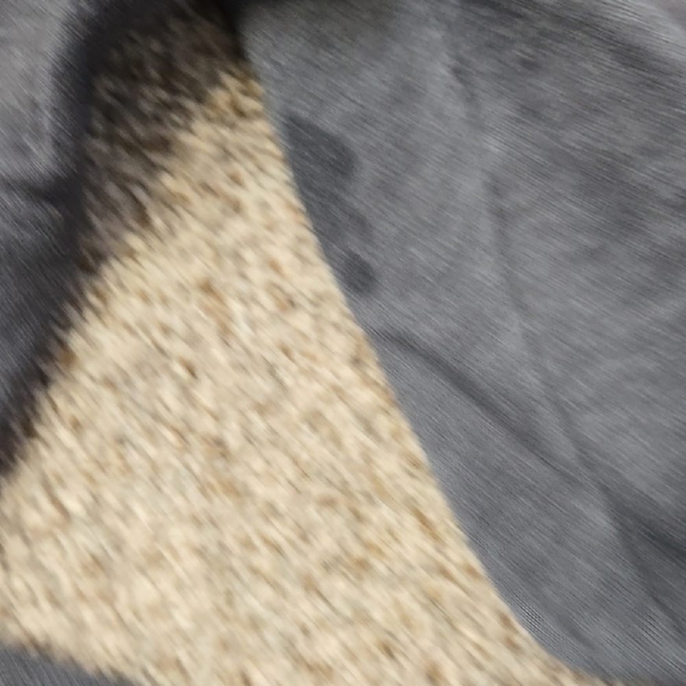 Hollister Gray Joggers with Elastic Waistband and Tapered Ankles - Picture 4 of 4